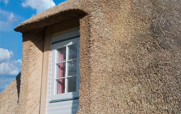 Hastingwood thatch roof disadvantages
